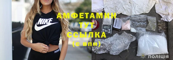 сатива Бородино