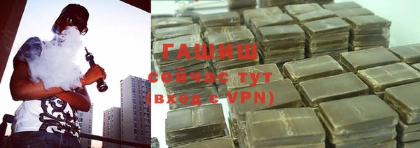сатива Бородино