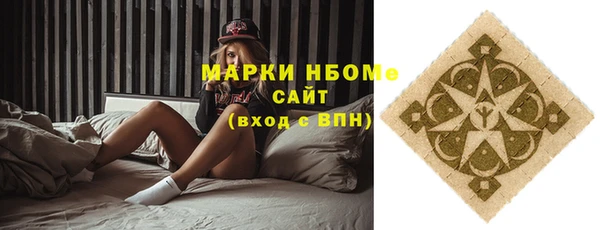 сатива Бородино