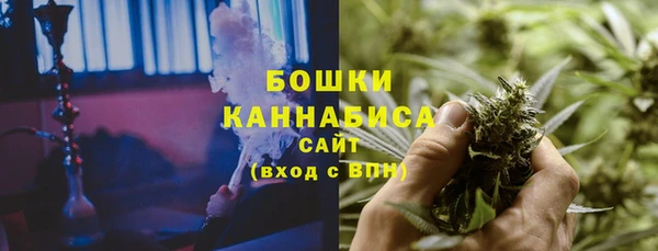 ПСИЛОЦИБИНОВЫЕ ГРИБЫ Бугульма