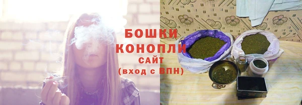 сатива Бородино