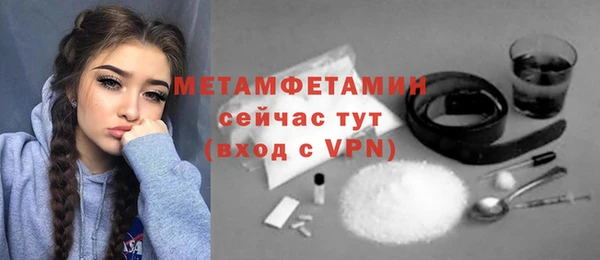 сатива Бородино
