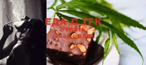 сатива Бородино