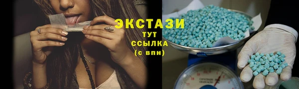 сатива Бородино