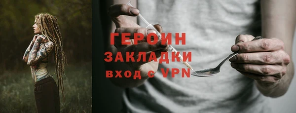 сатива Бородино