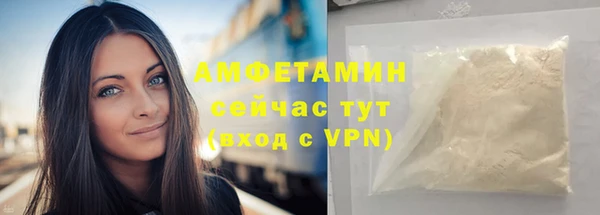 сатива Бородино