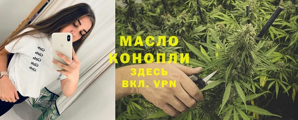 сатива Бородино