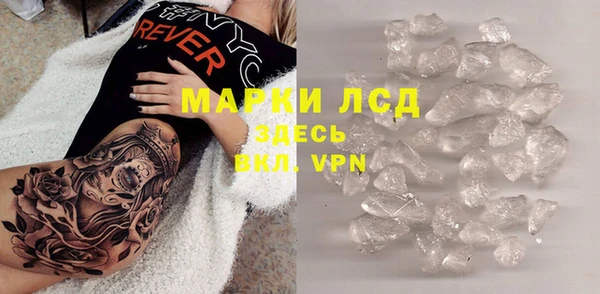 сатива Бородино