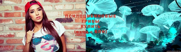 сатива Бородино