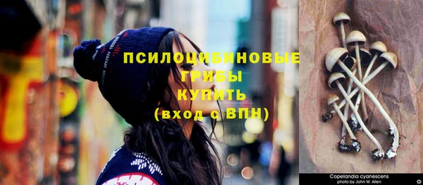ПСИЛОЦИБИНОВЫЕ ГРИБЫ Бугульма