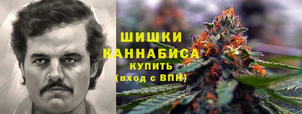 ПСИЛОЦИБИНОВЫЕ ГРИБЫ Бугульма
