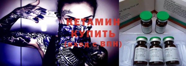 сатива Бородино