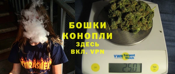 сатива Бородино