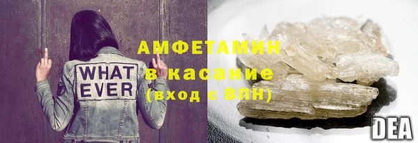 сатива Бородино
